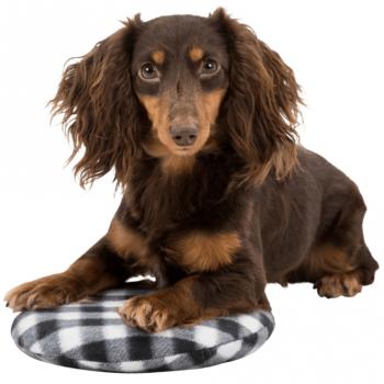 Preview: Wärmekissen für Mikrowelle Trixie